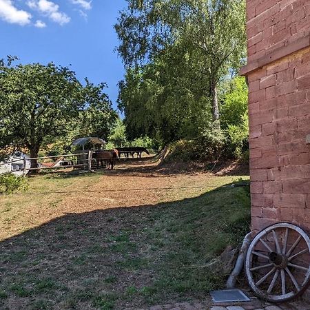 Hof Helmenhube 2 Apartman Gammelsbach Kültér fotó